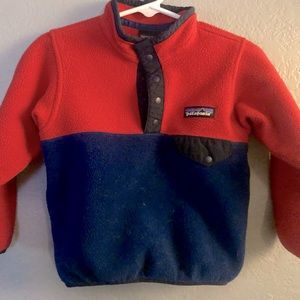 Patagonia Synchilla Pullover